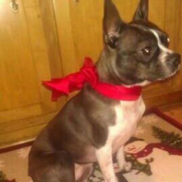 Meet your Posher, Jason - Picture 1 of 1